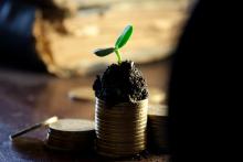 Обработка на заплати
